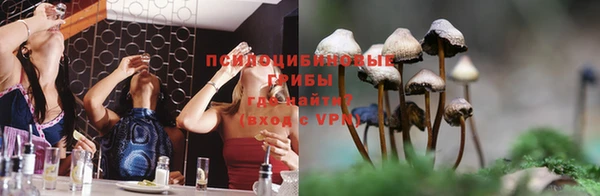 PSILOCYBIN Бугульма
