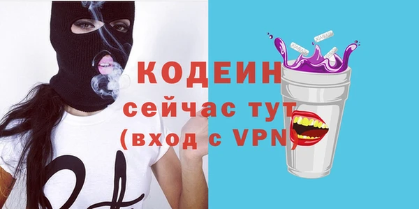 тгк Бородино