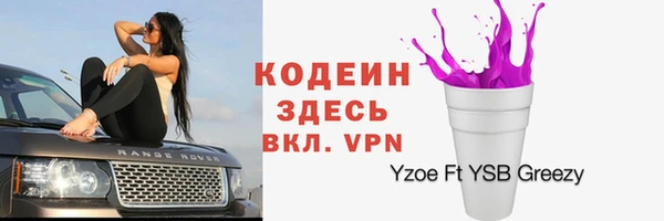 индика Богданович
