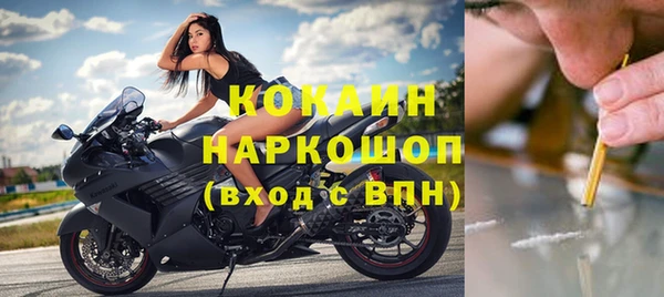 индика Богданович