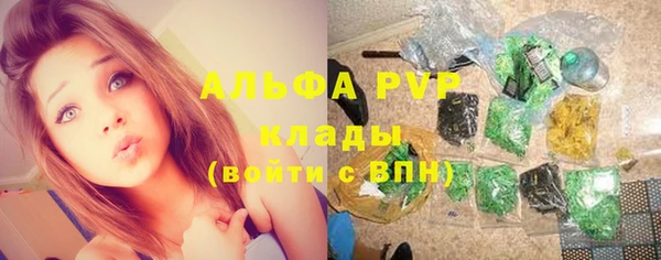 PSILOCYBIN Бугульма