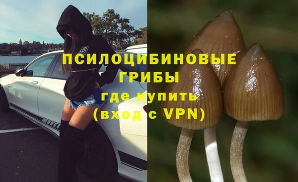PSILOCYBIN Бугульма