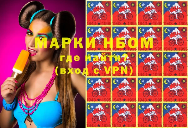 индика Богданович