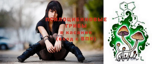 a pvp Богородицк