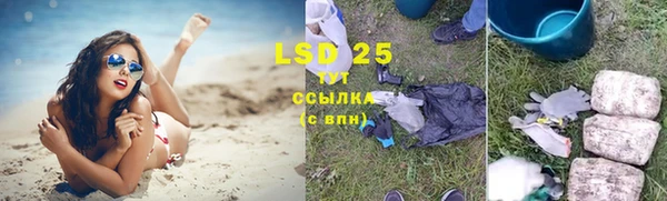 шишки Бронницы